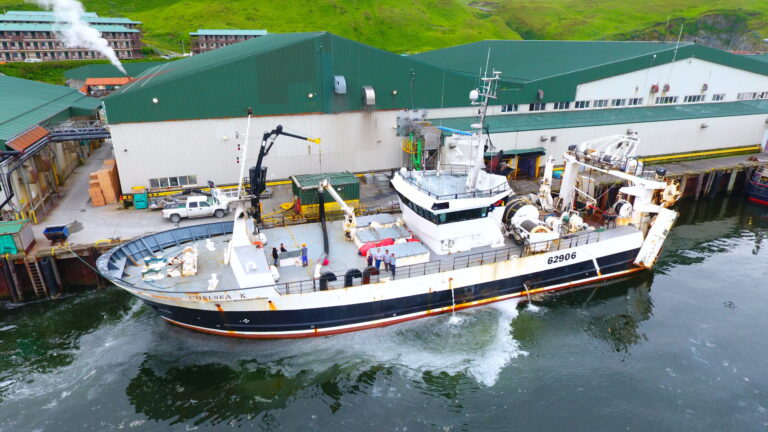 DCIM100MEDIADJI_0006