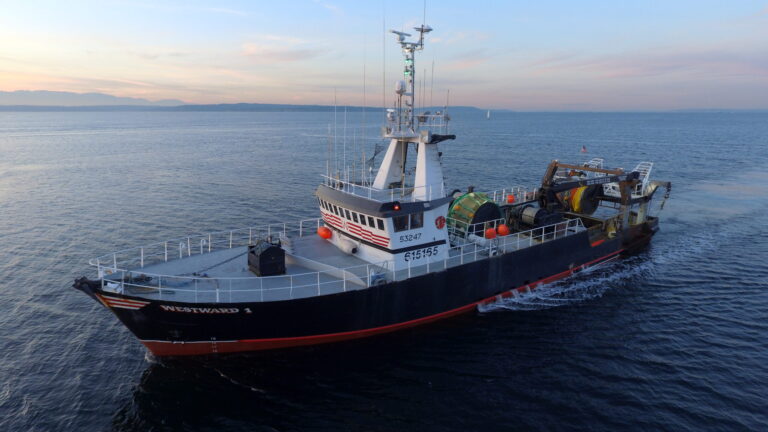 DCIM100MEDIADJI_0024