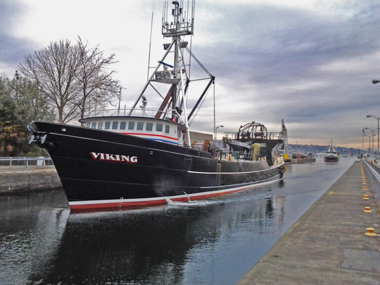 Viking in the Ballard locks